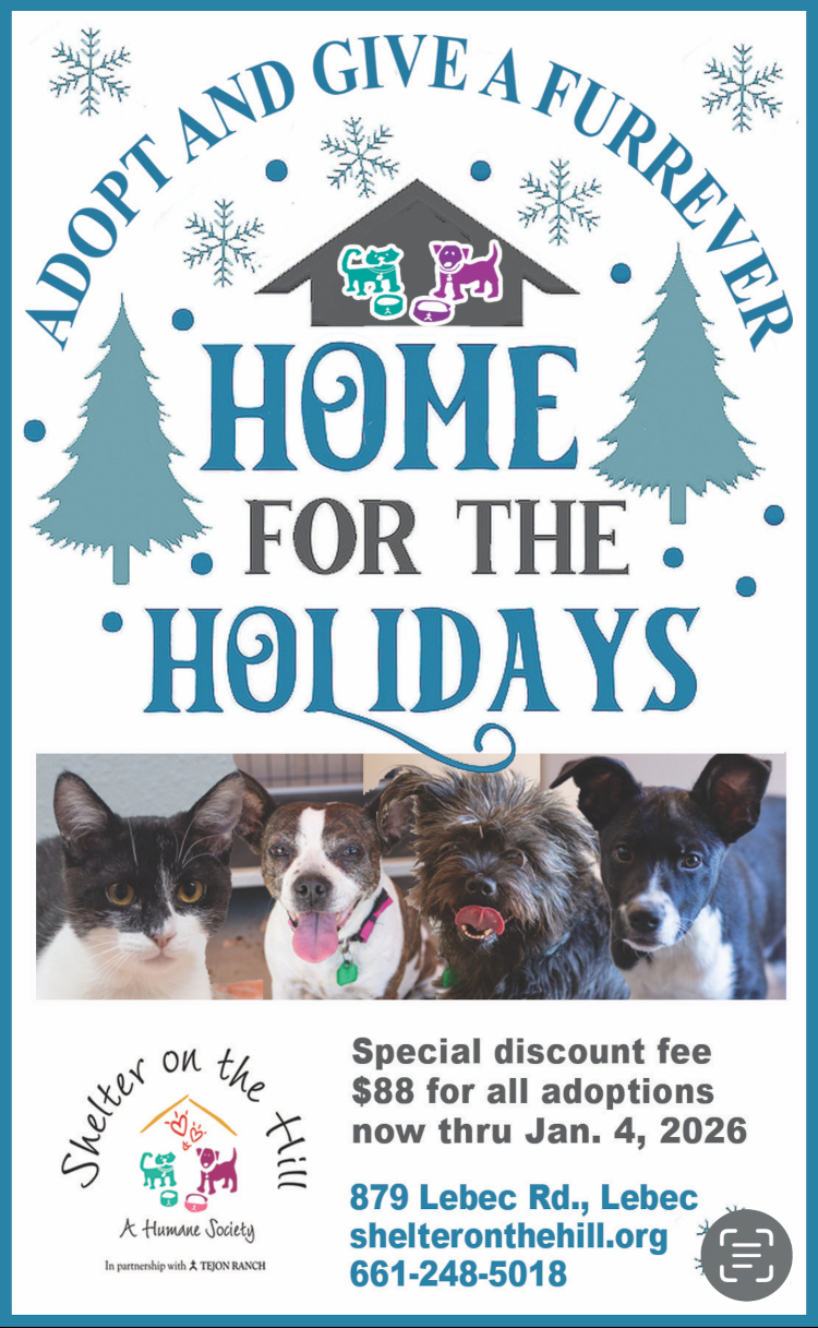 Home for the Holidays Poster